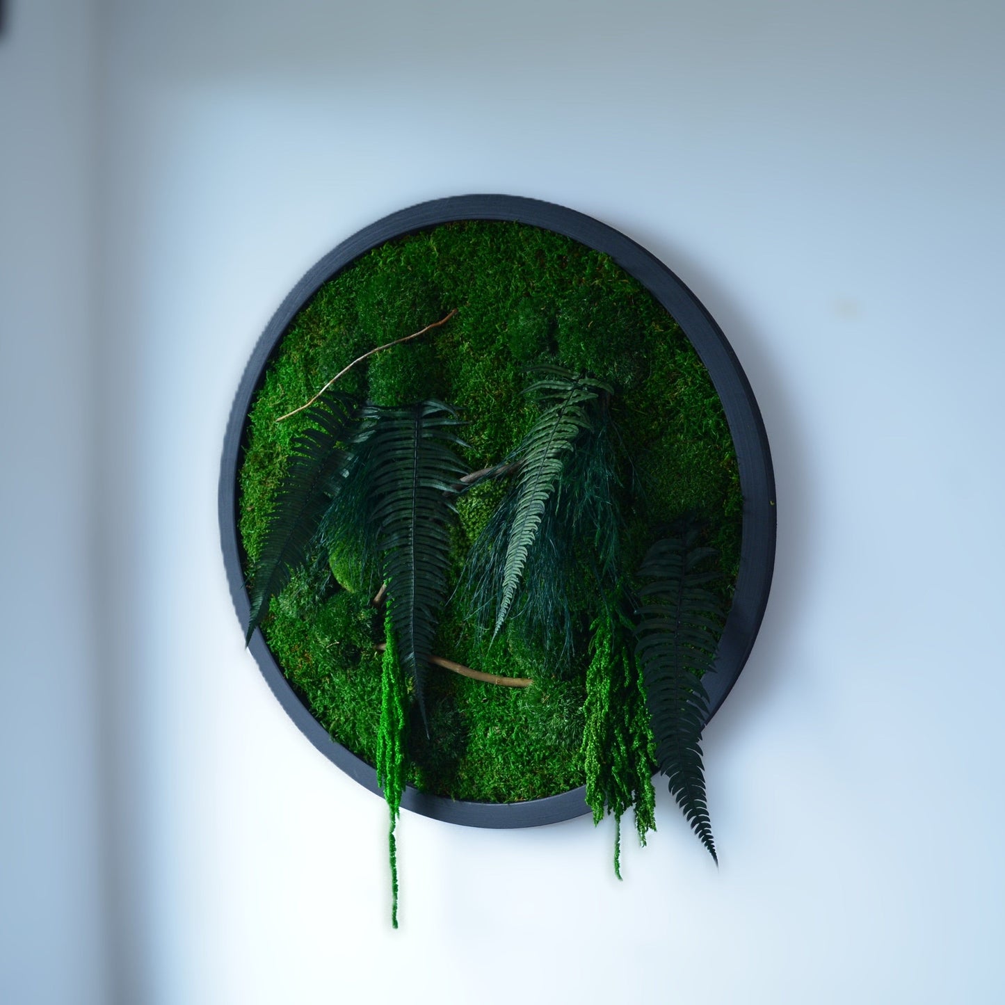 Botanic Circle | Moss Wall Art