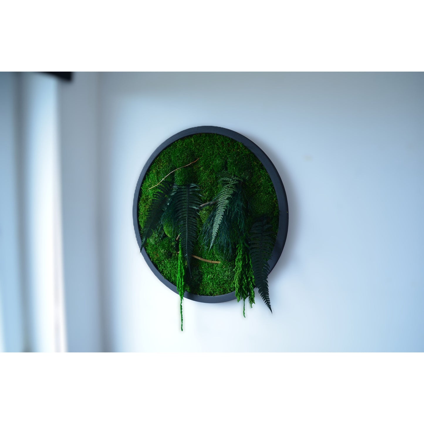 Botanic Circle | Moss Wall Art