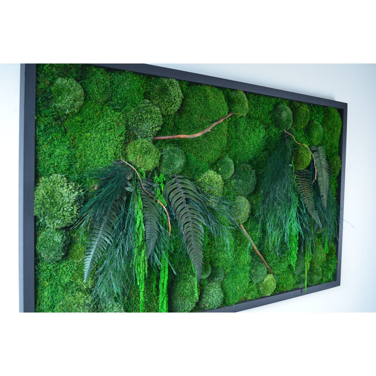 Botanic | Moss Wall Art