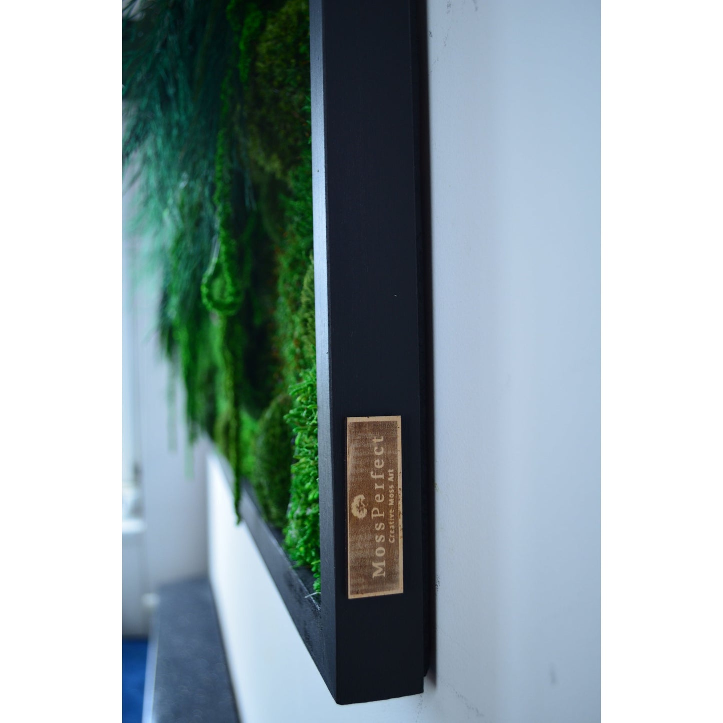 Botanic | Moss Wall Art