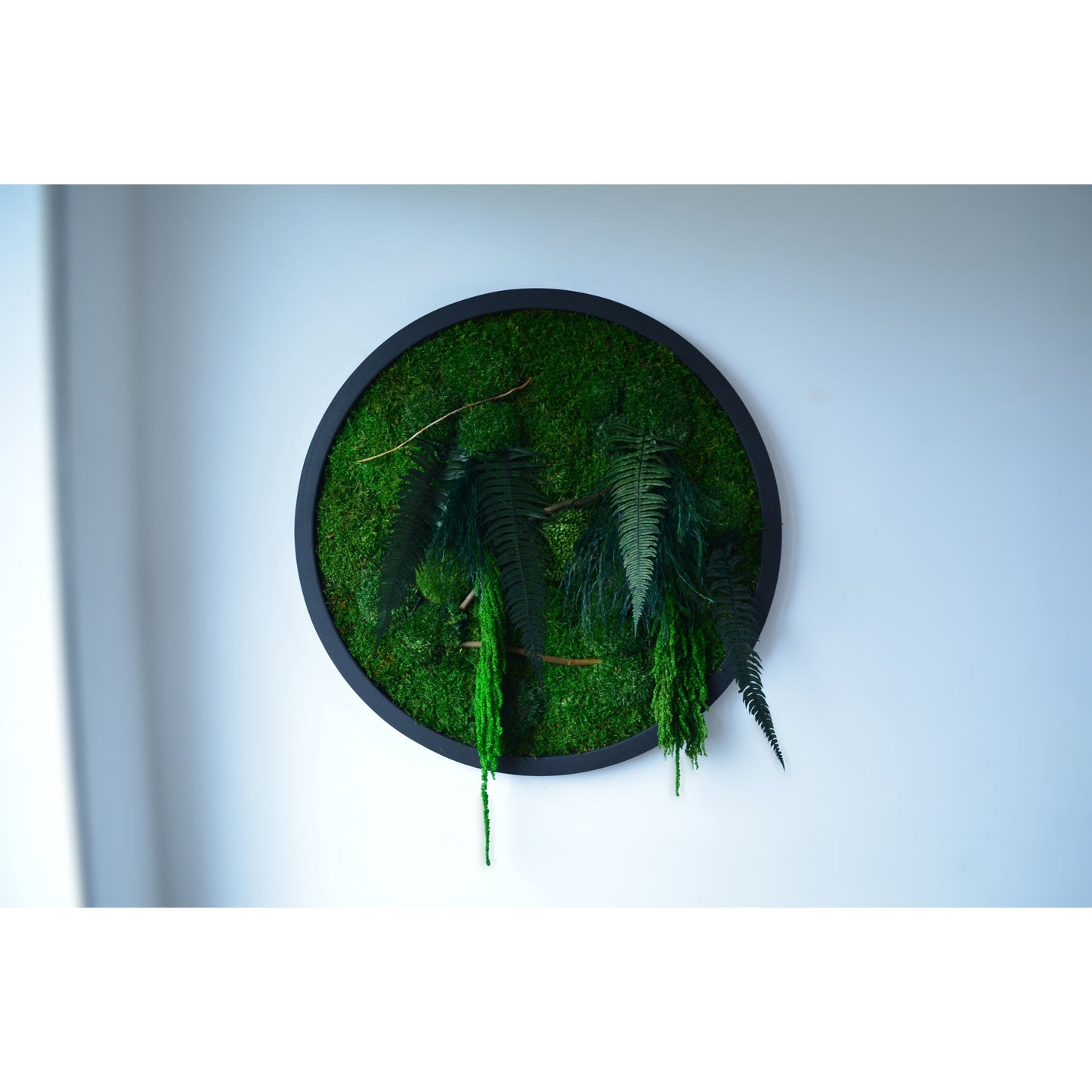 Botanic Circle | Moss Wall Art