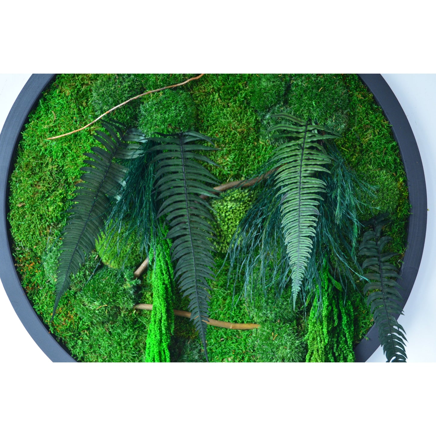 Botanic Circle | Moss Wall Art