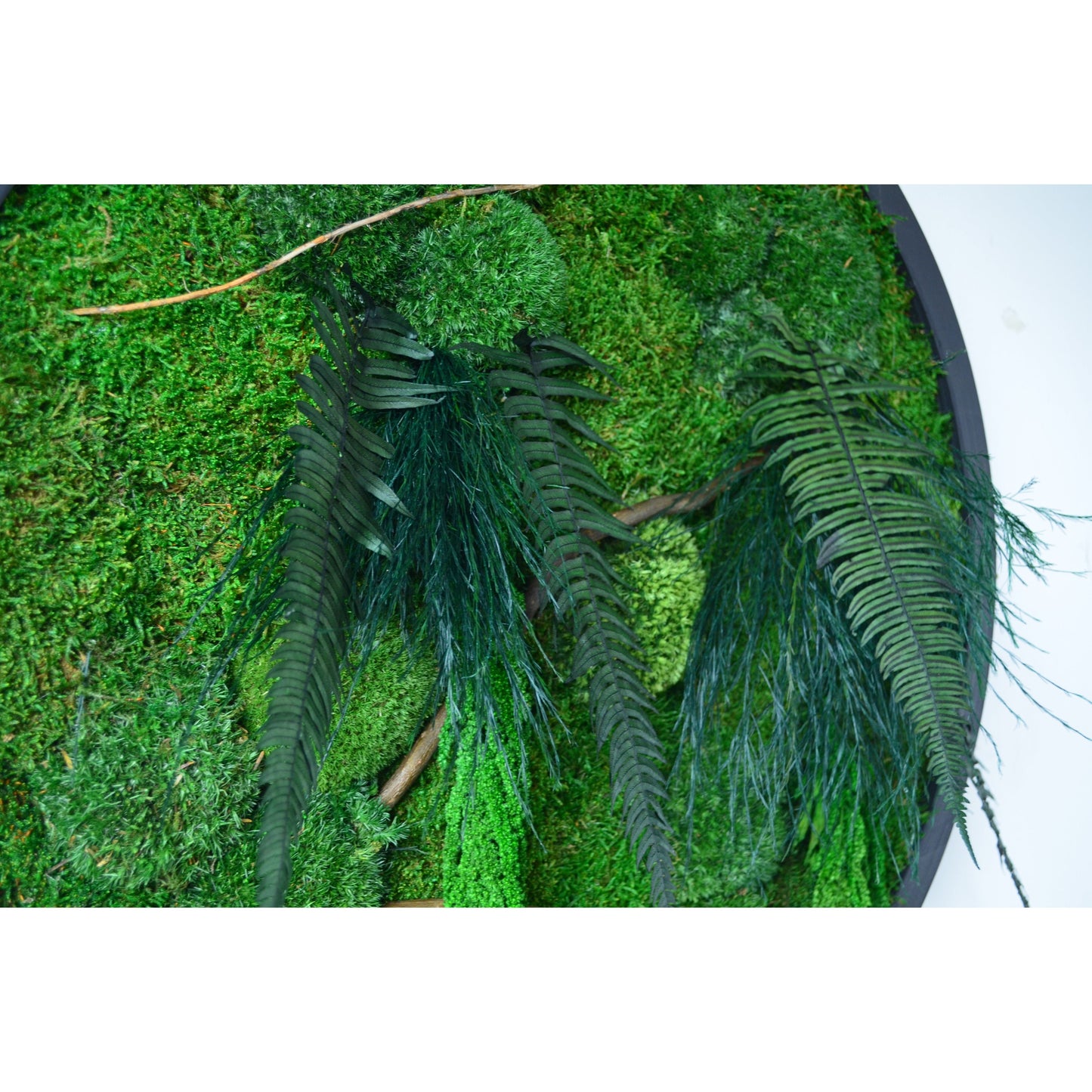 Botanic Circle | Moss Wall Art