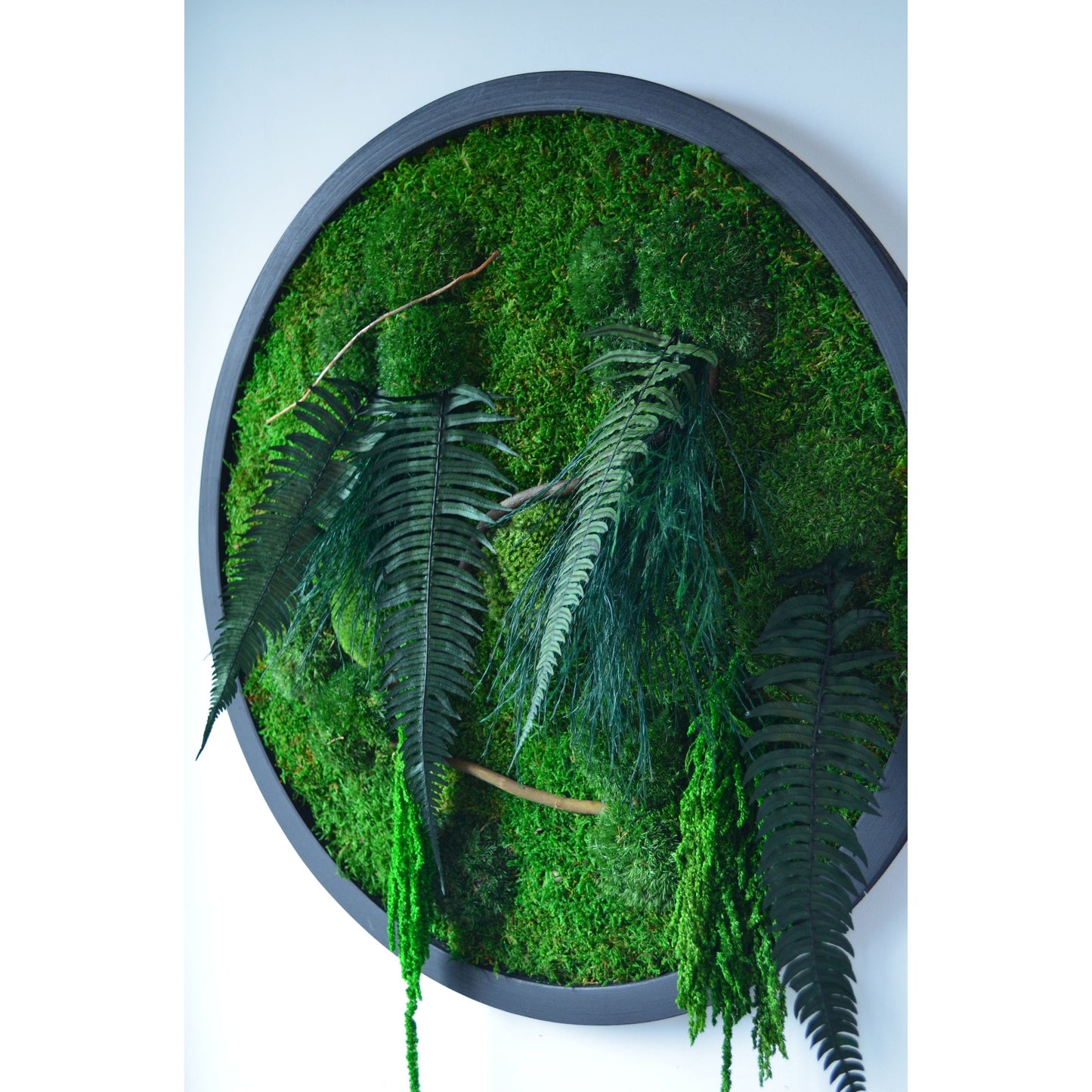 Botanic Circle | Moss Wall Art