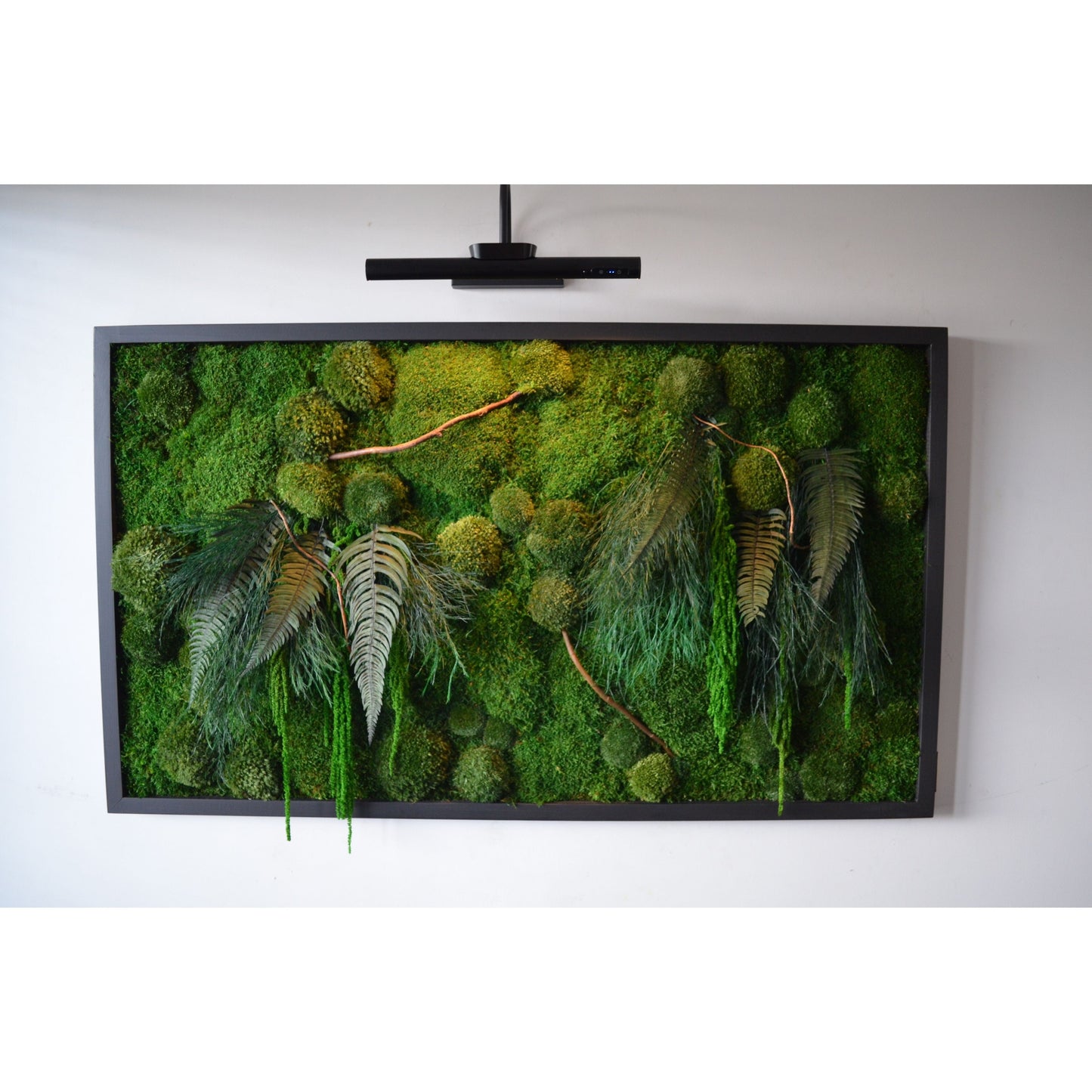 Botanic Art X LED | Moss Wall Art