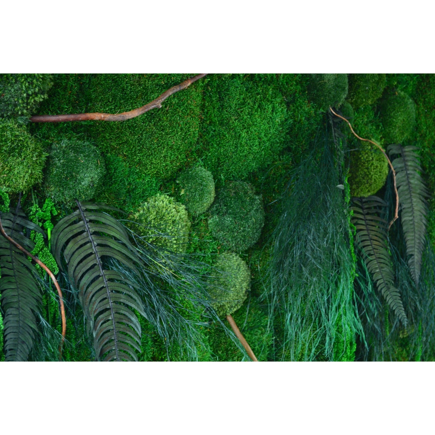 Botanic | Moss Wall Art
