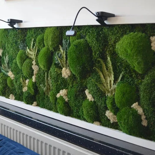 White Forest | Moss Wall Art