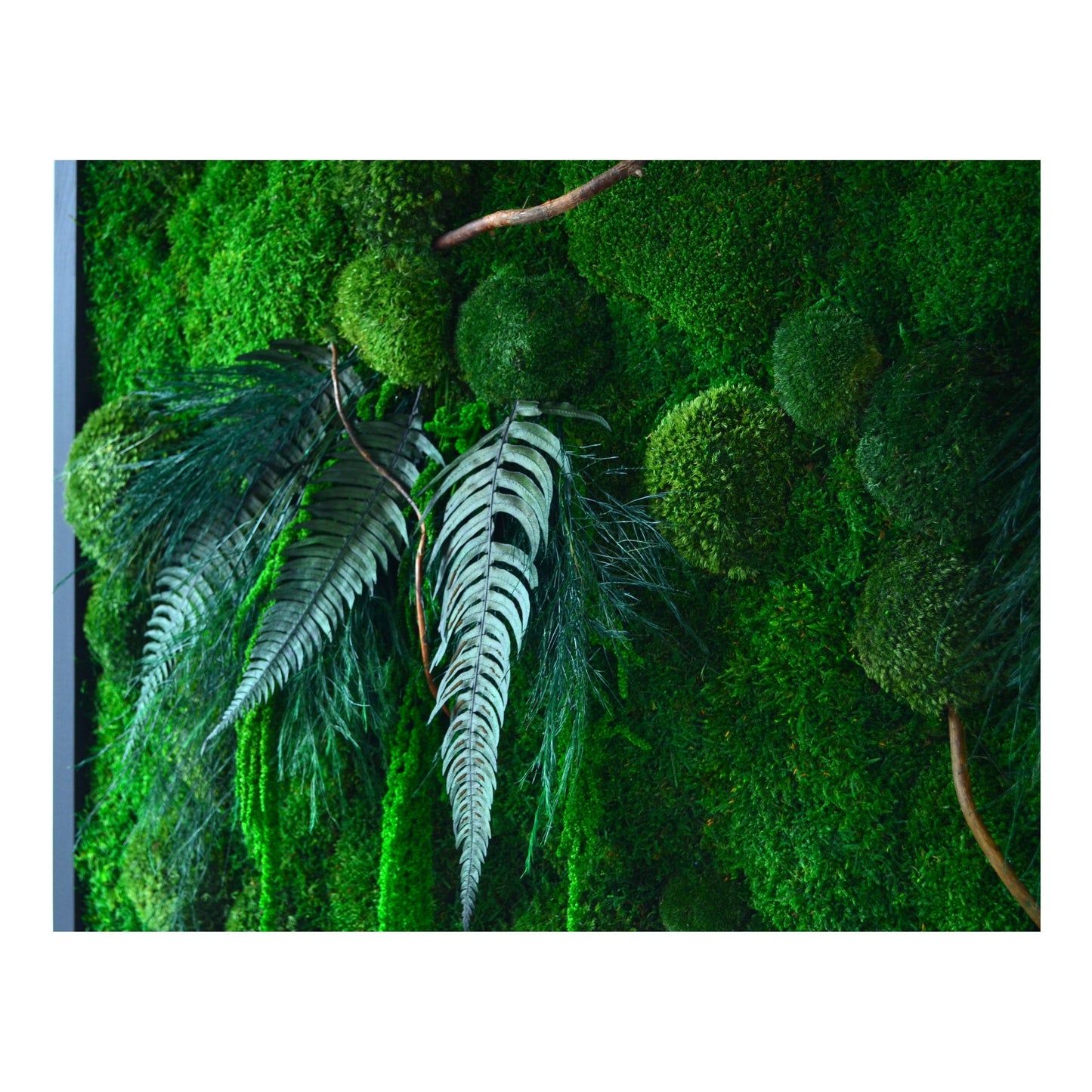 Botanic | Moss Wall Art