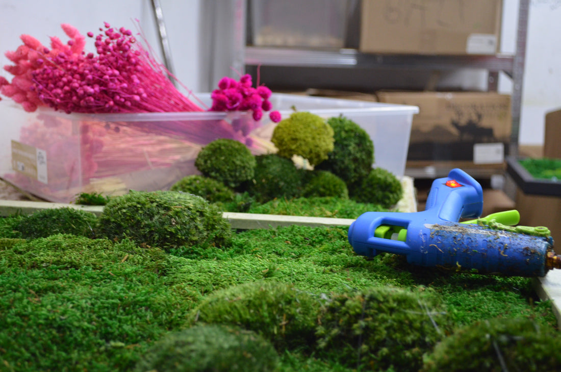 Why Choose Premium Products for Moss Decorations?