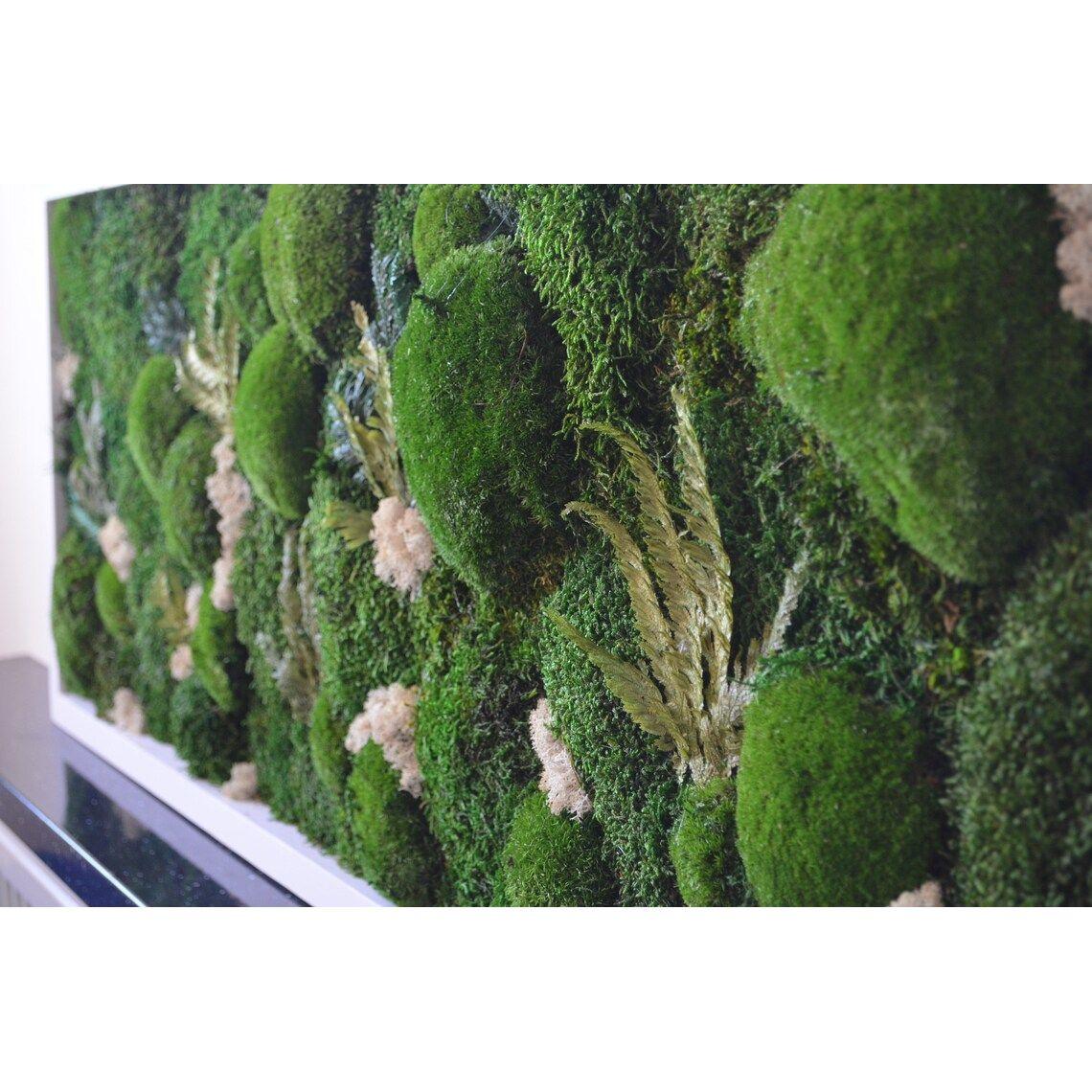 decoration made of moss