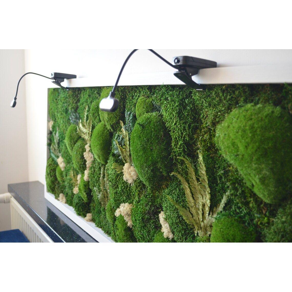 decoration made of moss