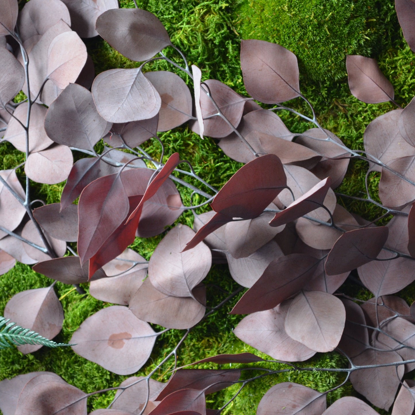 Harmony | Moss Wall Art