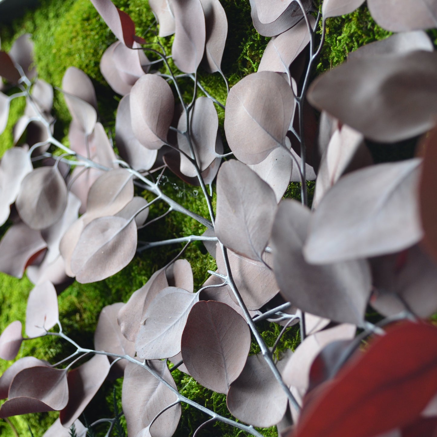 Harmony | Moss Wall Art