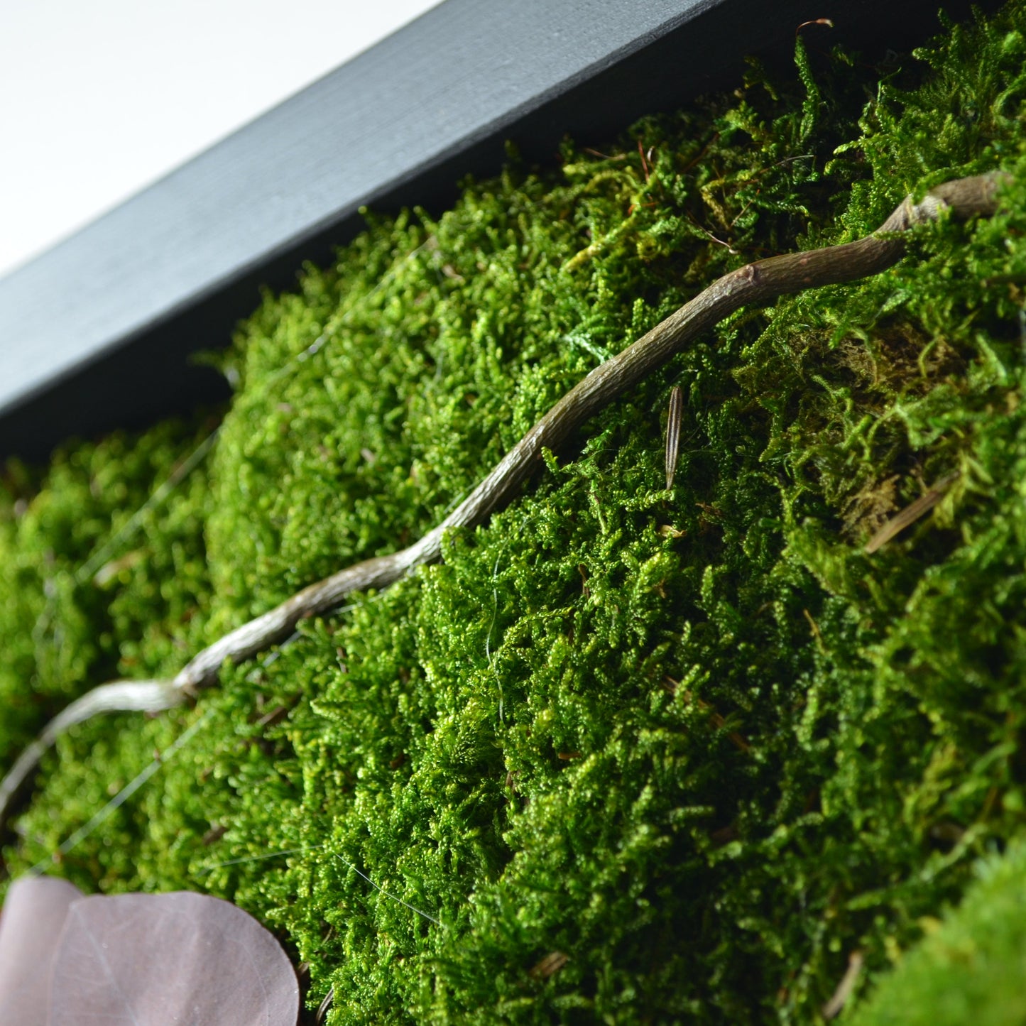 Harmony | Moss Wall Art