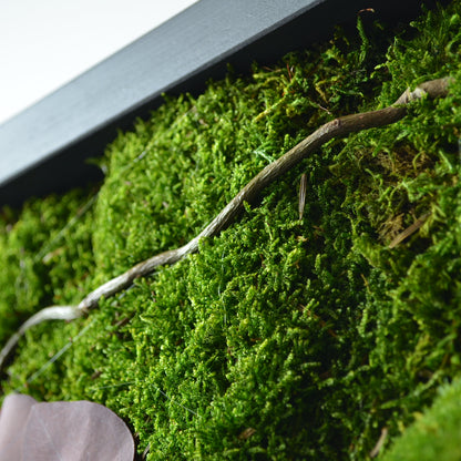 Harmony | Moss Wall Art