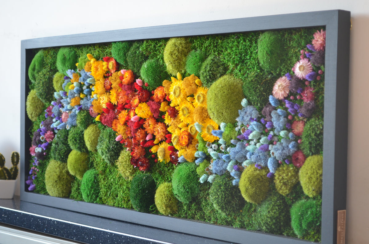 Rainbow change size 39''x19''to 28''x48'' Black frame