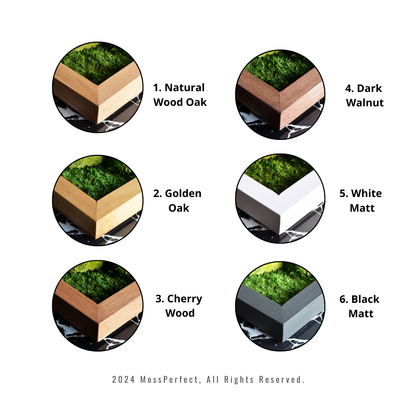 Harmony | Moss Wall Art