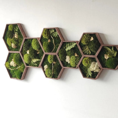 Zestaw 9 sześciokątów z mchu i złota | Hexagons Gold