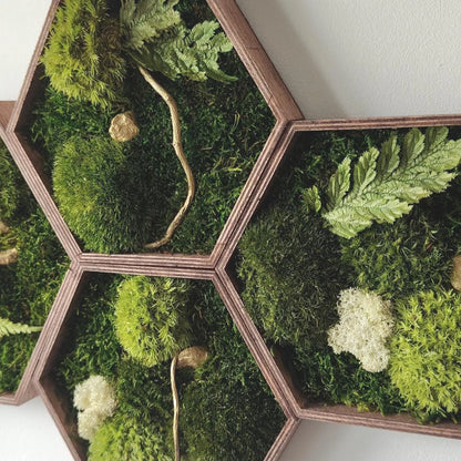 Zestaw 9 sześciokątów z mchu i złota | Hexagons Gold