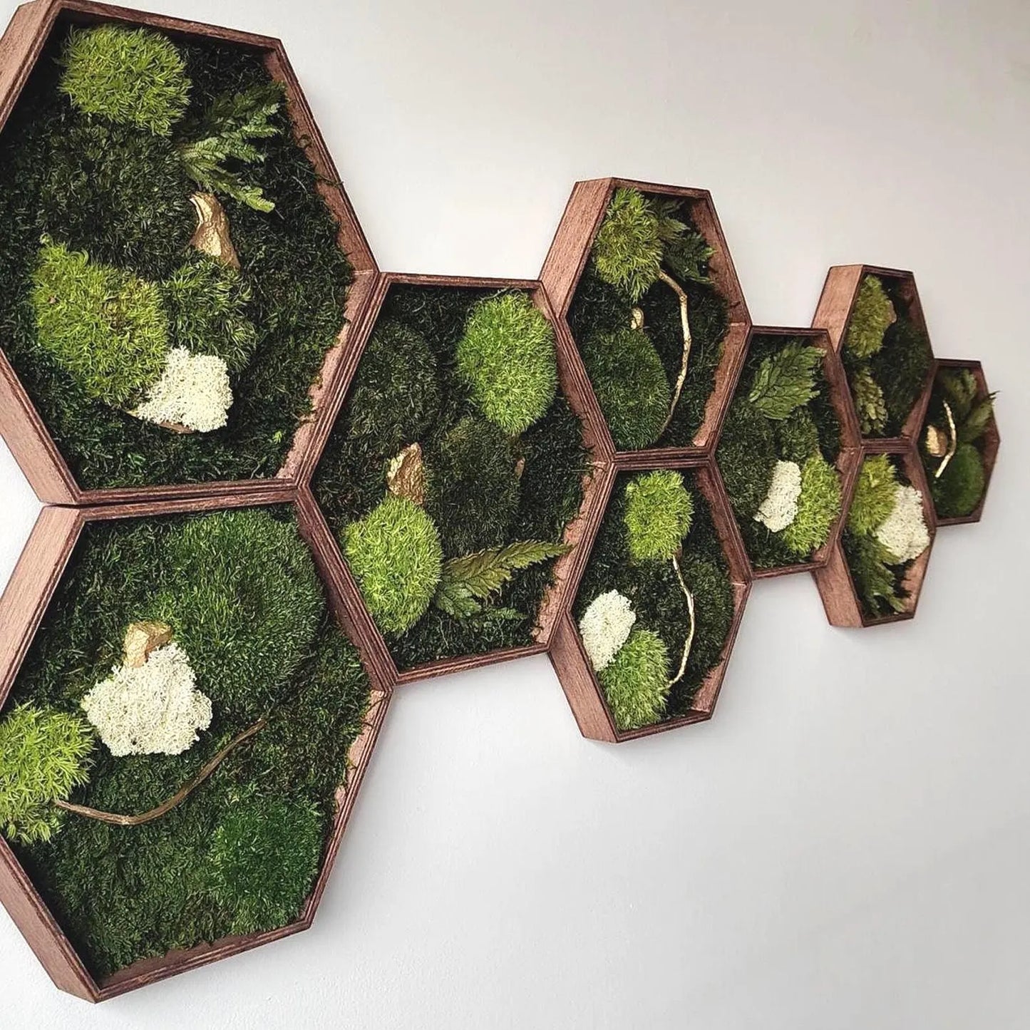 Zestaw 9 sześciokątów z mchu i złota | Hexagons Gold