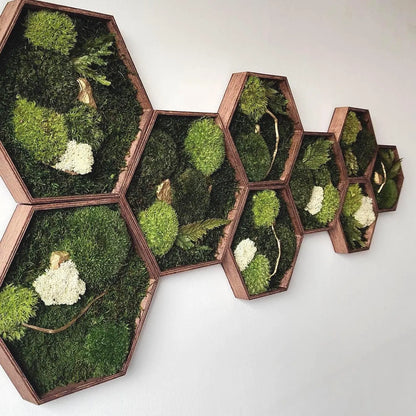 Zestaw 9 sześciokątów z mchu i złota | Hexagons Gold