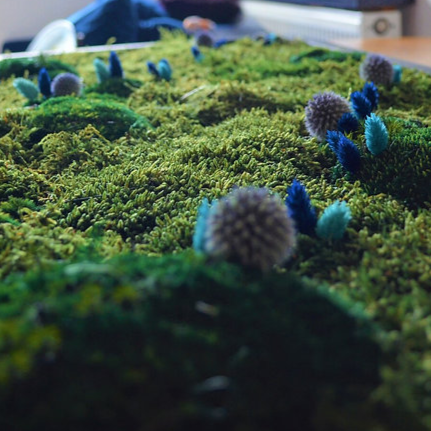 decoration made of moss