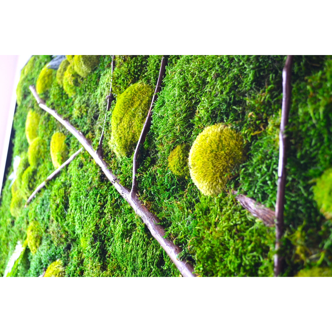 decoration made of moss