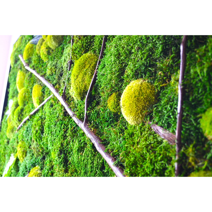 decoration made of moss