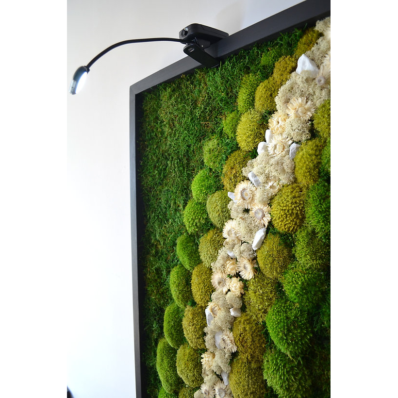 decoration made of moss