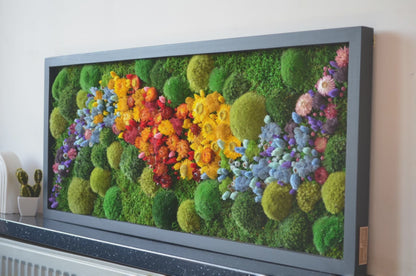 Rainbow | Moss Wall Art